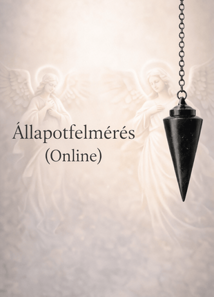 Állapotfelmérés (online)